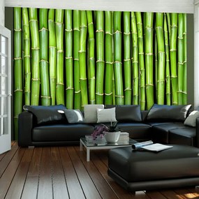 Artgeist Fototapeta - Bamboo wall Veľkosť: 196x154, Verzia: Samolepiaca