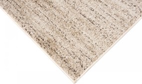 Koberec T006A CREAM SARI Béžový Obdĺžnikový Rozmer: 240x330 cm