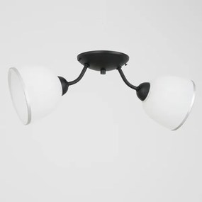 Stropné svietidlo AVIA 2xE27/60W/230V