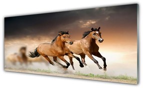 Obraz na akrylátovom skle Kone zvieratá 125x50 cm
