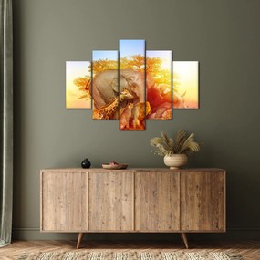 Obraz afrických zvieratiek (150x105 cm)