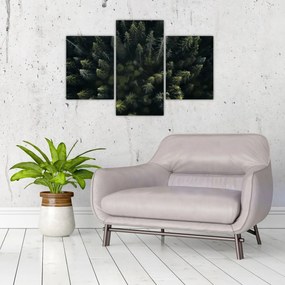 Obraz - Les (90x60 cm)