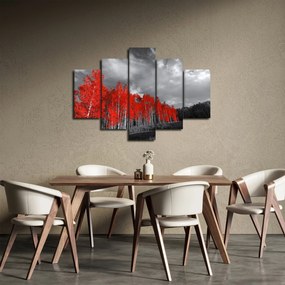 Obraz - Stromy vo farbe jesene (150x105 cm)