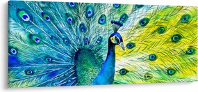 Obraz páva (120x50 cm)