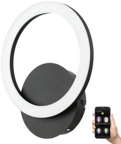 Eglo 900324 - LED Stmievateľné nástenné svietidlo PARRAPOS-Z LED/12W/230V