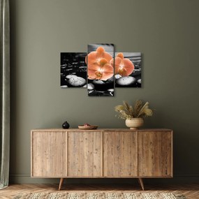 Obraz - Oranžové orchidey (90x60 cm)