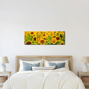 Obraz - Slnečnica (s hodinami) (90x30 cm)