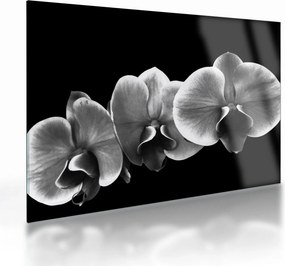Sklenený obraz kvetu orchidey (70x50 cm)