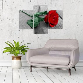 Obraz - Červená ruža so zelenou stonkou (90x60 cm)