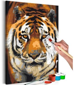 Obraz - maľovaný podľa čísel Asian Tiger