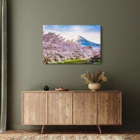 Obraz - Japonsko na jar (90x60 cm)