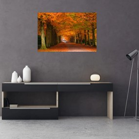 Obraz - Jeseň Alej stromov (90x60 cm)