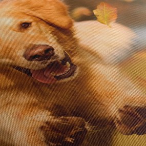 Obraz - Zlatý retriever (120x50 cm)