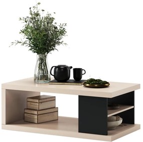 Konferenčný stolík LORA s policou a úložným priestorom, béžový/čierny