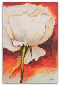 Gario Obraz na plátne Pekná biela pivonka Rozmery: 40 x 60 cm