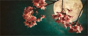 Obraz - Sakura v splne (120x50 cm)