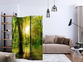 Paraván - Forest Rays [Room Dividers] Veľkosť: 135x172, Verzia: Jednostranný