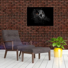 Sklenený obraz - Sova, ilustrácie (70x50 cm)
