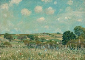 Obraz - Alfred Sisley,  Meadow, reprodukcia (70x50 cm)