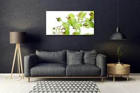 Obraz na skle Kvety rastlina príroda 140x70 cm