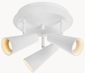 Stropné kovové svietidlo Crest