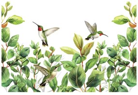 Tapeta kolibríky a listy