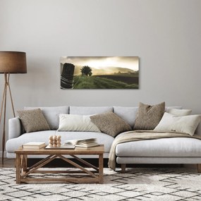 Obraz lúky (120x50 cm)
