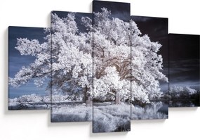 Obraz - Snehobiely strom (150x105 cm)
