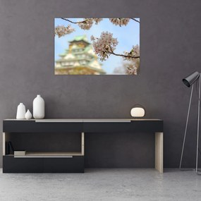 Obraz - Sakura (90x60 cm)