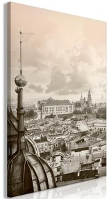 Artgeist Obraz - Cracow: Royal Castle (1 Part) Vertical Veľkosť: 20x30, Verzia: Premium Print