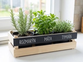 AMADEA Drevený obal s kvetináči a tabuľkou na písanie kriedou, 47x17x15cm Český výrobok