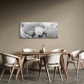 Obraz - Ľadové medvede (120x50 cm)