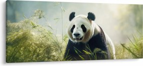 Obraz - Panda (120x50 cm)