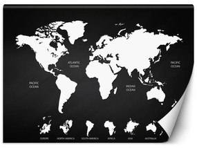 Fototapeta, Černobílá mapa světa - 200x140 cm