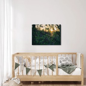 Obraz presvitajúceho slnka cez vetvičky stromov (70x50 cm)