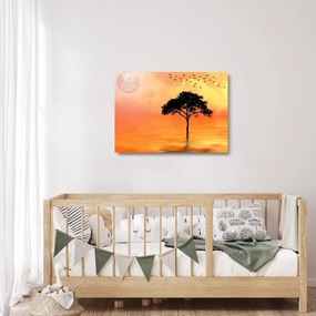 Sklenený obraz stromu pri západe slnka (70x50 cm)