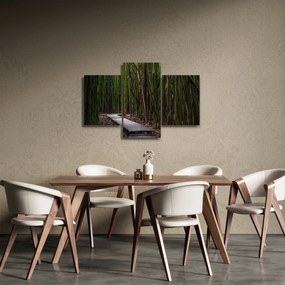 Obraz - Medzi bambusy (90x60 cm)