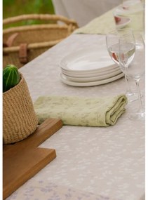 Ľanový obrus / deka Meirami 150x260, bielo-ľanový