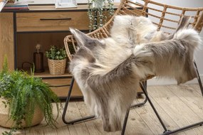 Koberec RENIFER POK012 sivý / béžový