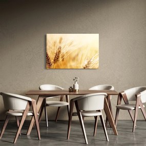 Obraz - detail obilia (90x60 cm)