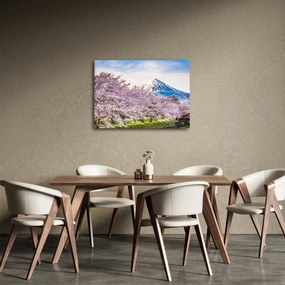 Obraz - Japonsko na jar (70x50 cm)