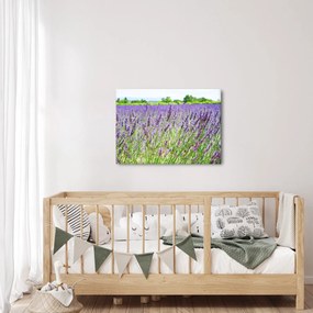 Obraz poľa s levanduľou (70x50 cm)