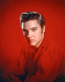 Umelecká fotografie Elvis Presley 1956, (30 x 40 cm)
