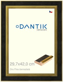 DANTIK rám na obraz 29,7x42 | Oro Fino černozlatá (Plexi Čiré)