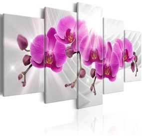 Artgeist Obraz - Abstract Garden: Pink Orchids Veľkosť: 200x100, Verzia: Na talianskom plátne