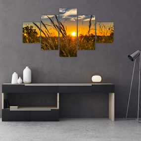 Obraz pole pri západe slnka (125x70 cm), 40 ďalších rozmerov