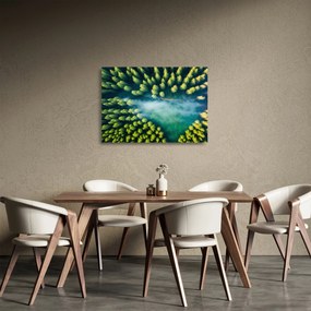Sklenený obraz - Hmlou zahalený les (70x50 cm)