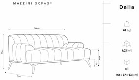 Dvojmiestna pohovka Dalia 166 × 94 × 77 cm