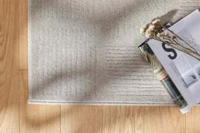 Koberec Osta Textura 48820 LA110