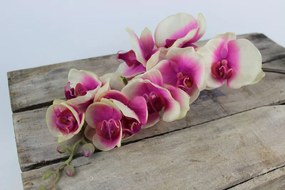 Ružová umelá orchidea s listami a korienkom 70cm